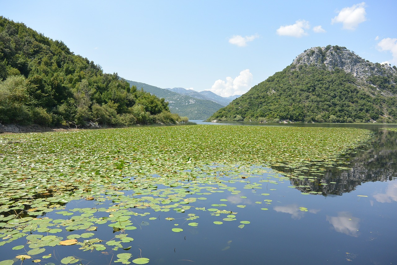 le lac de skadar montenegro