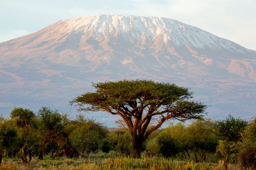 kilimanjaro tanzanie