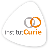 institut-curie-logo