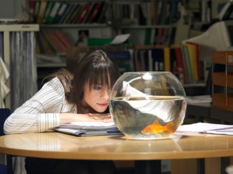 Femme et poisson rouge 