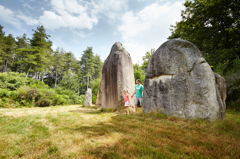 Alignement de menhirs - Bois de Fourgon. Source : www.vendee-tourisme.com